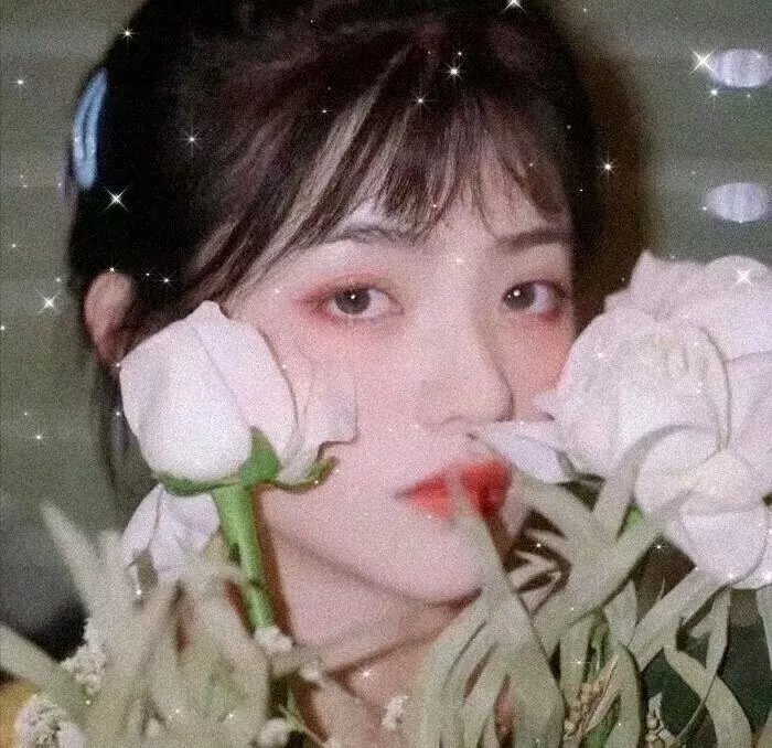 失落边境